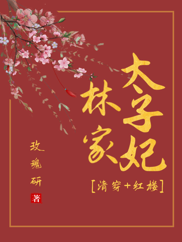 清穿红楼林家太子妃免费阅读小说