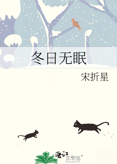 冬日无眠小说宋折星百度网盘