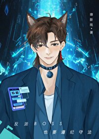 反派boss也要遵纪守法[无限]